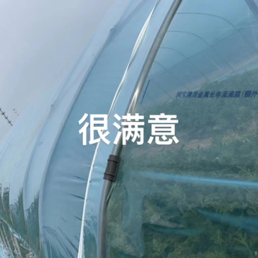 精品西瓜膜全新料透光好抗老化可定制大棚膜