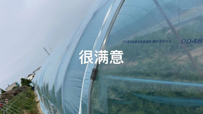 精品西瓜膜全新料透光好抗老化可定制大棚膜