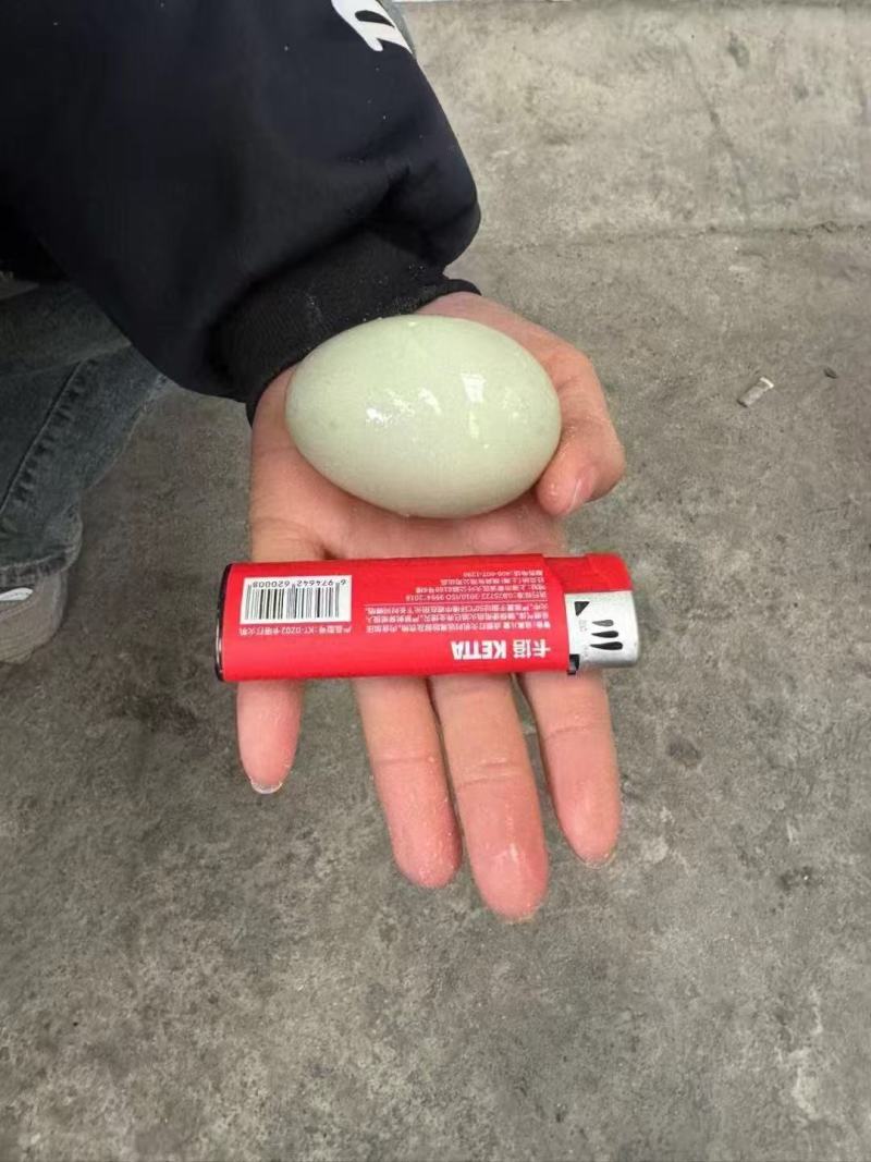 皮蛋松花皮蛋无铅皮蛋餐饮酒店超市皮蛋