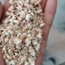 优质玉米芯批发