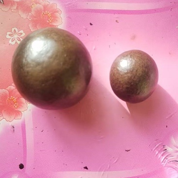 卖羊宝，羊结石