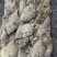 马面鱼三角马面鱼剥皮鱼100/300克