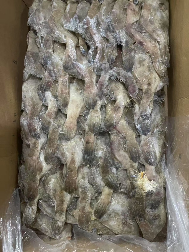 马面鱼三角马面鱼剥皮鱼100/300克