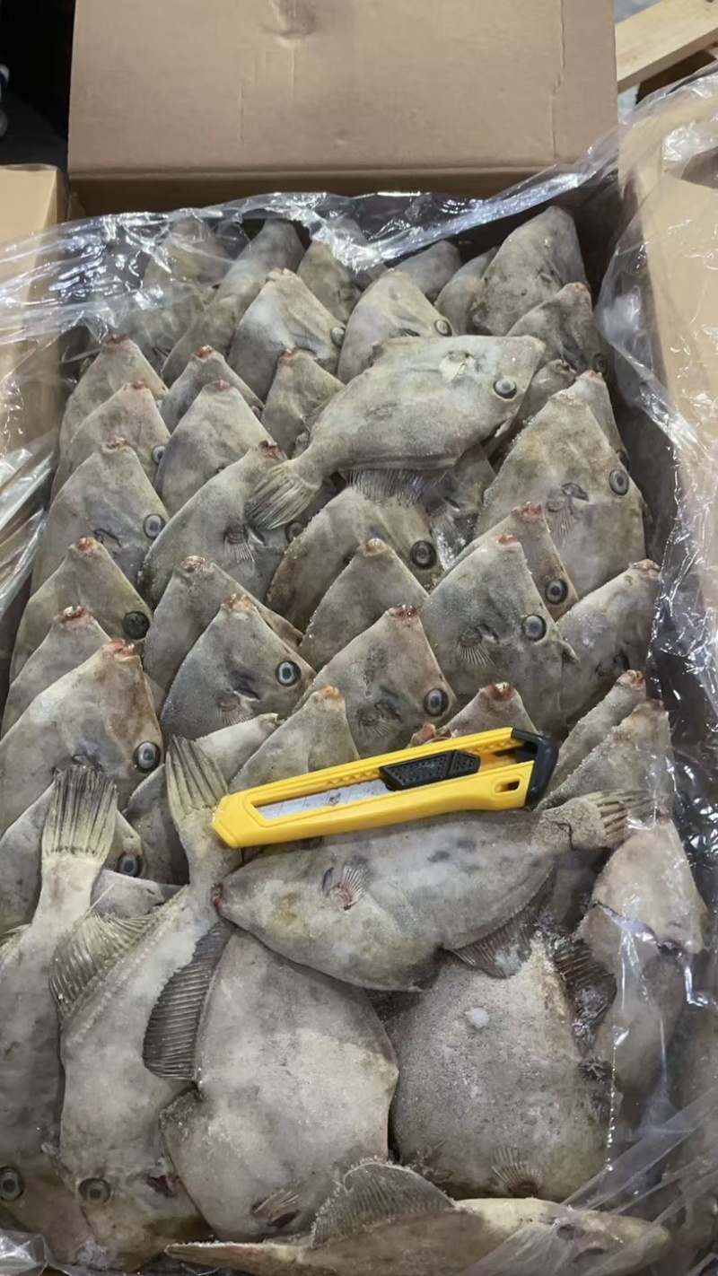 马面鱼三角马面鱼剥皮鱼100/300克