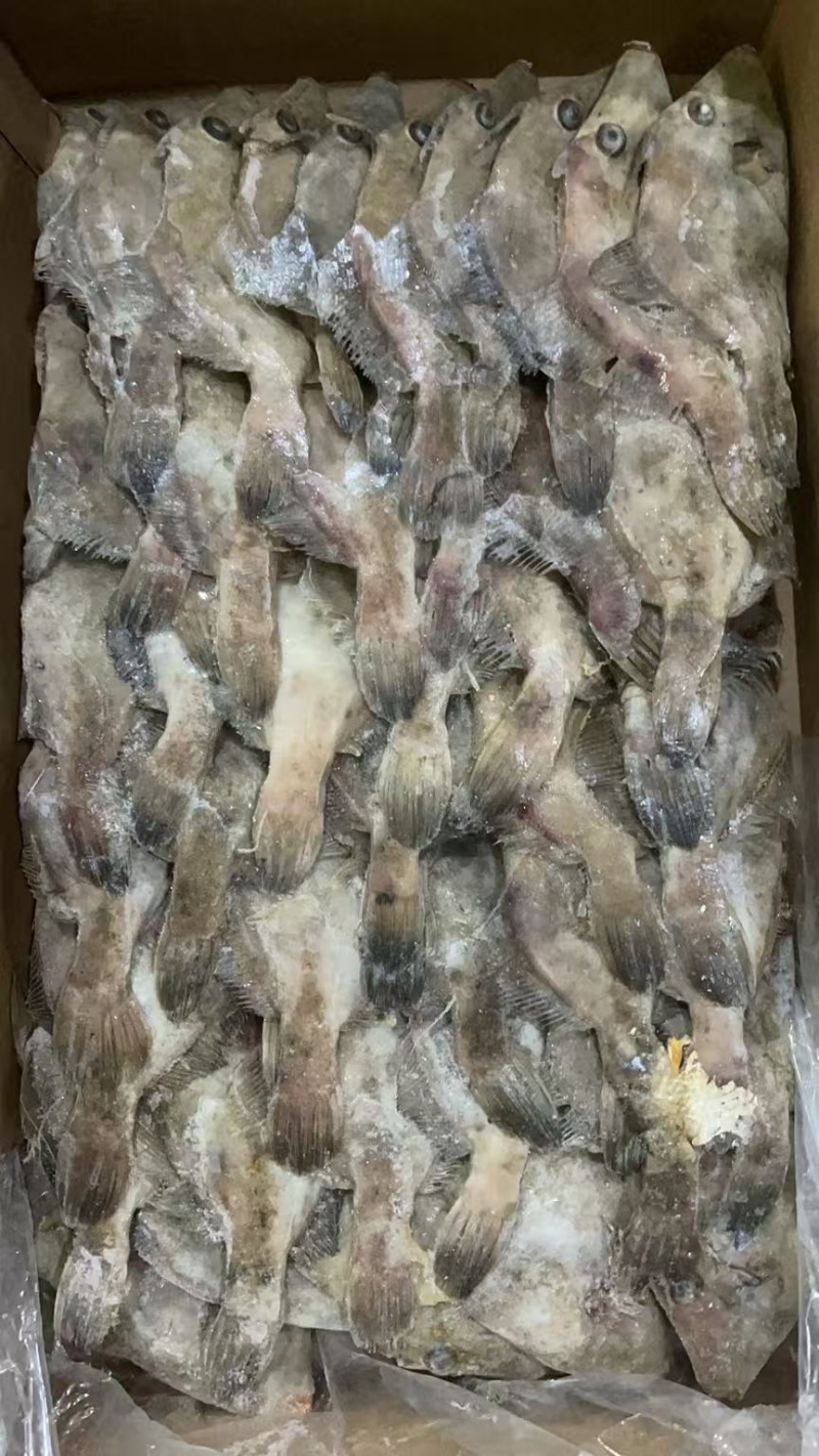 马面鱼三角马面鱼剥皮鱼100/300克