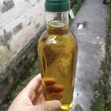 正品超值！老树冷榨山茶油；茶籽油，传统物理压榨，