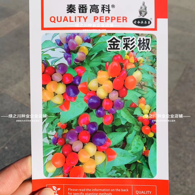 金彩椒朝天椒辣椒种子五彩可食用泡椒盆栽七彩椒蔬菜种子阳台