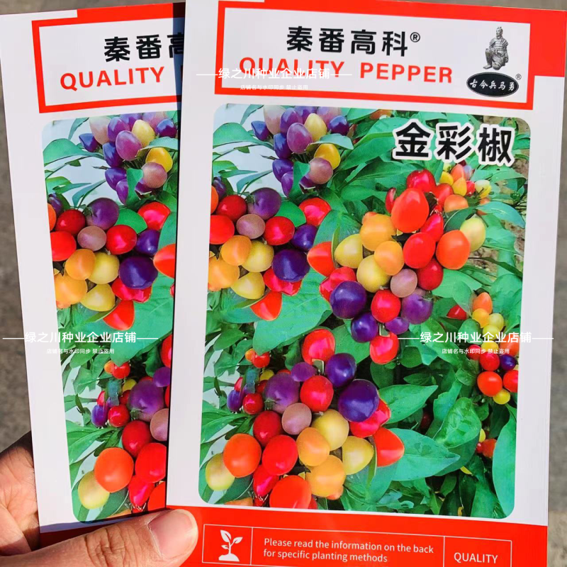 金彩椒朝天椒辣椒种子五彩可食用泡椒盆栽七彩椒蔬菜种子阳台