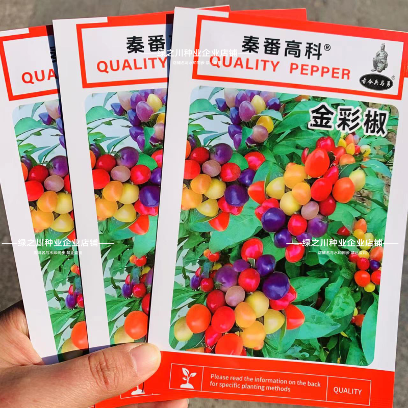 金彩椒朝天椒辣椒种子五彩可食用泡椒盆栽七彩椒蔬菜种子阳台