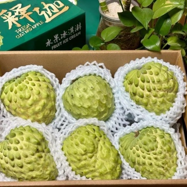 云南释迦果牛奶凤梨释迦大果电商平台一件代发