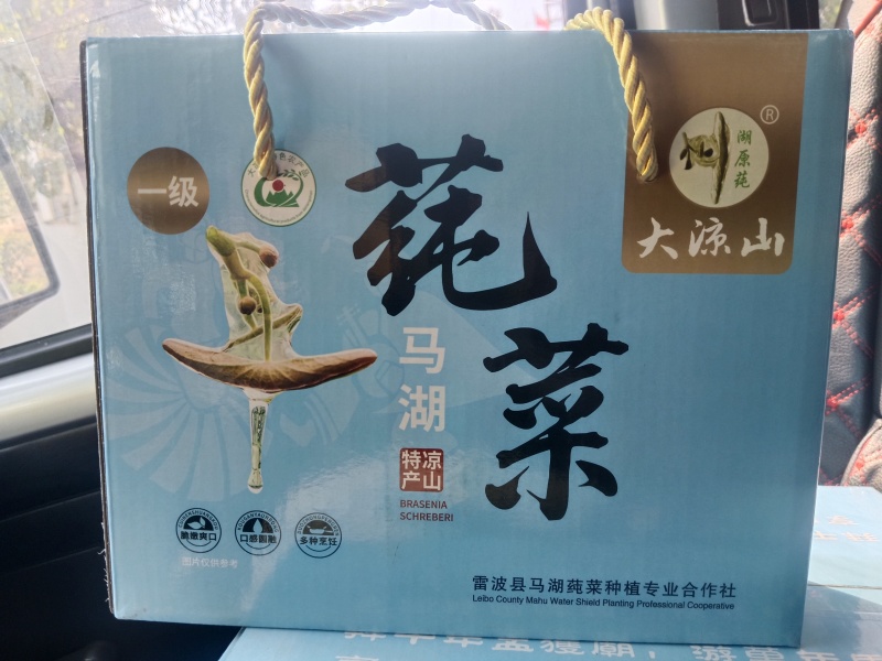 雷波马湖莼菜