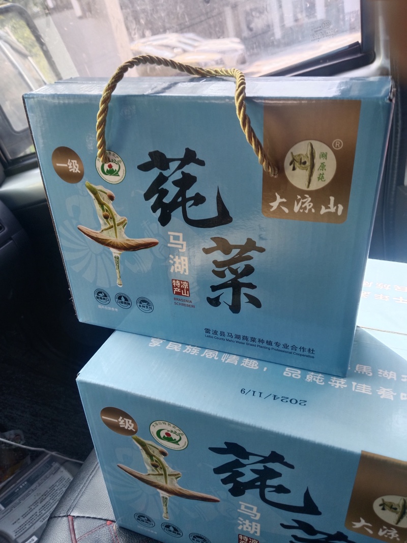 雷波马湖莼菜