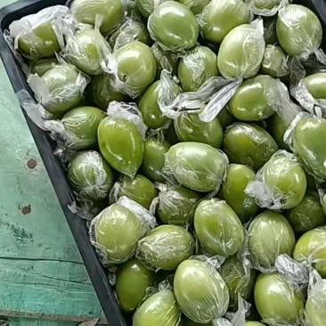 金桃枣。