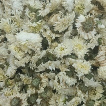 菊花各种花茶批发，应有尽有