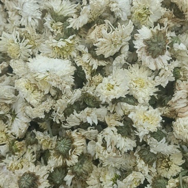 菊花各种花茶批发，应有尽有