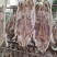 整只小香猪新鲜腊肉20斤左右一整只当地特色手工香猪肉包邮