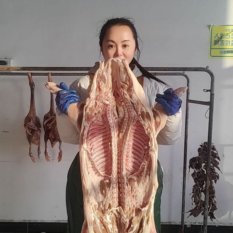 整只小香猪新鲜腊肉20斤左右一整只当地特色手工香猪肉包邮