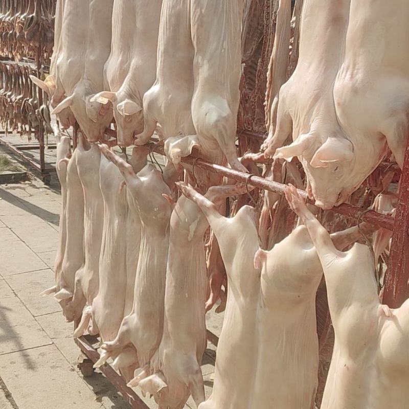 整只小香猪新鲜腊肉20斤左右一整只当地特色手工香猪肉包邮