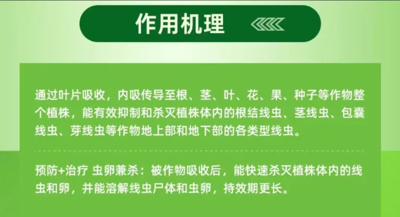 根线虫一喷净～可以叶面喷施的线虫**药喷施一遍一季无忧