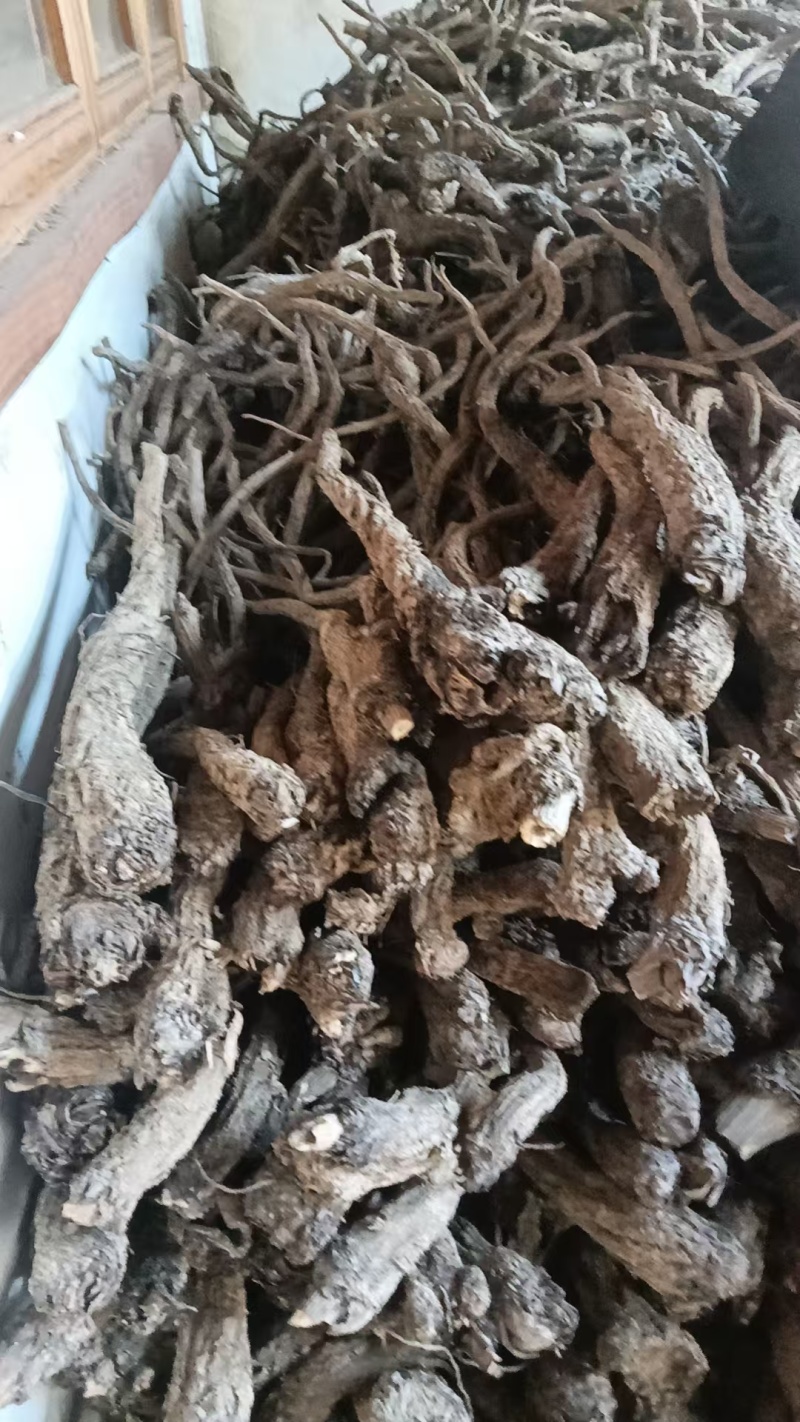 云木香，大获组织能力强，产地直供，诚信经营