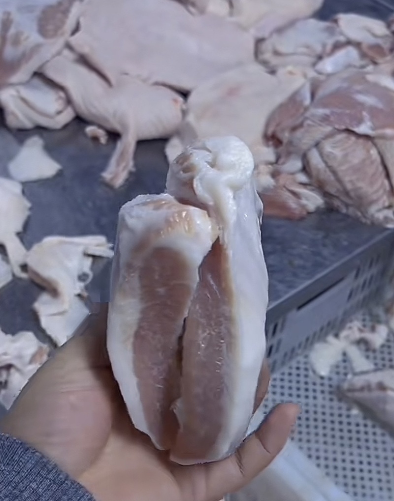 精修二八肉青