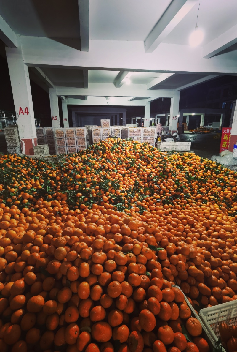 武鸣沃柑高次鲜果，电商货，市场货，落地配社区团购等