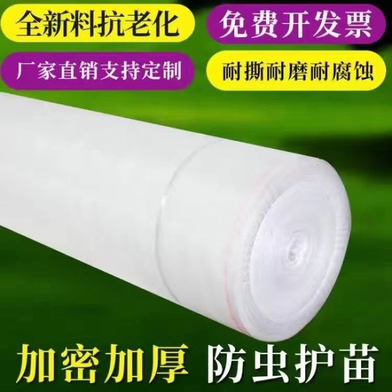防虫网大棚专用蔬菜大棚加厚40目60目80农用果树脐橙尼