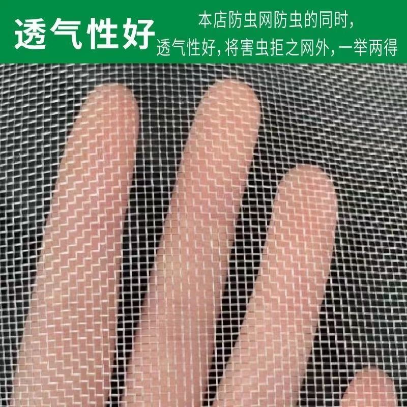 防虫网大棚专用蔬菜大棚加厚40目60目80农用果树脐橙尼
