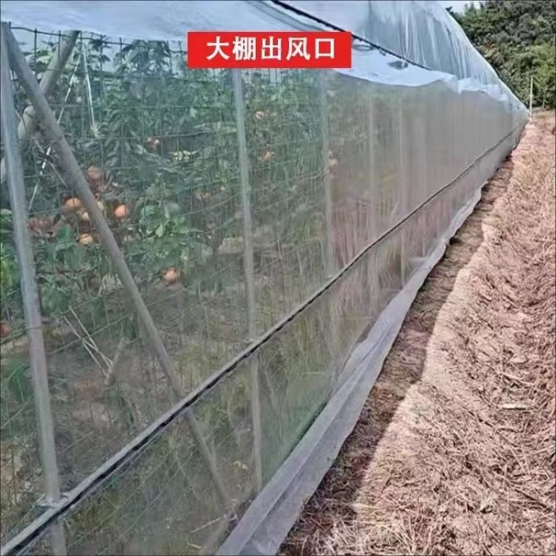 防虫网大棚专用蔬菜大棚加厚40目60目80农用果树脐橙尼