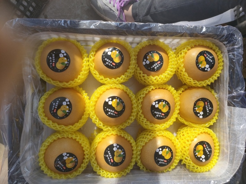 果袋秋月梨袋子防虫防菌防水好袋子出好表光