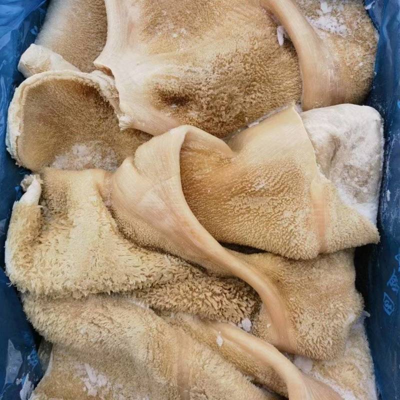 清真原味牛肚适合炒菜肚丝汤凉拌一手货源支持样品