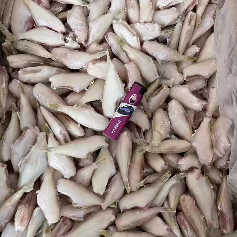 耗儿鱼新鲜冷冻19斤小号商用整箱火锅中大马面鱼扒皮剥皮鱼