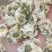 菊花各种花茶批发，应有尽有