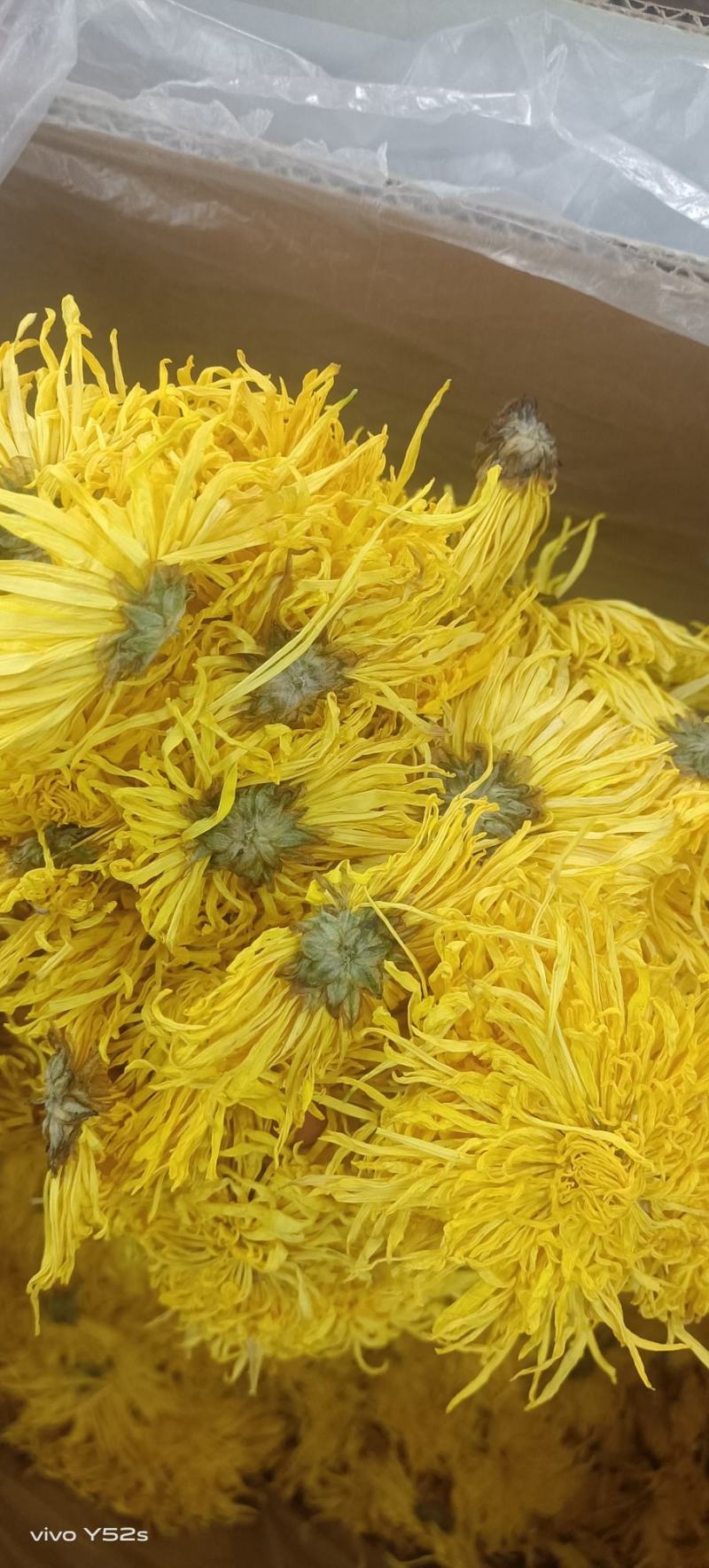 菊花各种花茶批发，应有尽有