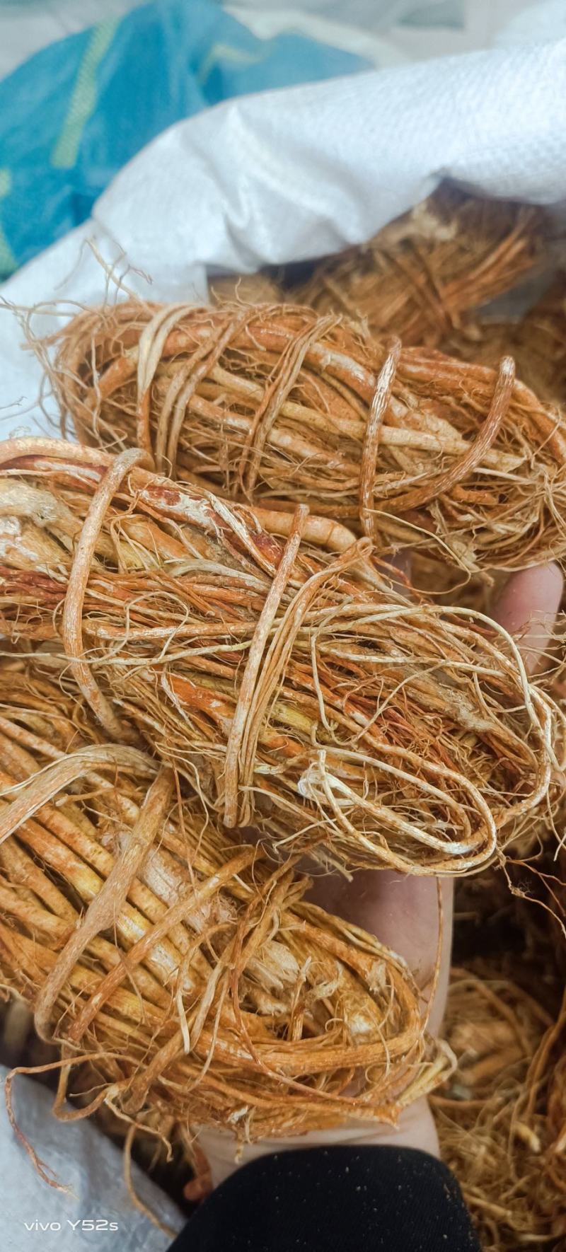 五指毛桃各种中药材，名贵药材能备药材，中药我们只做正品，