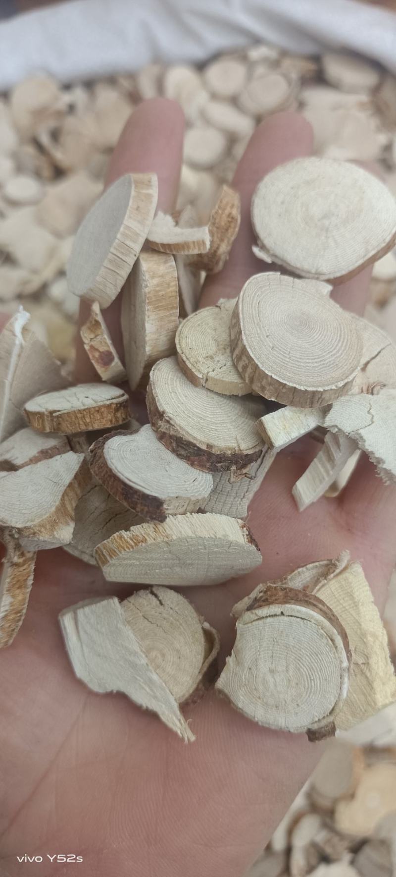 五指毛桃各种中药材，名贵药材能备药材，中药我们只做正品，