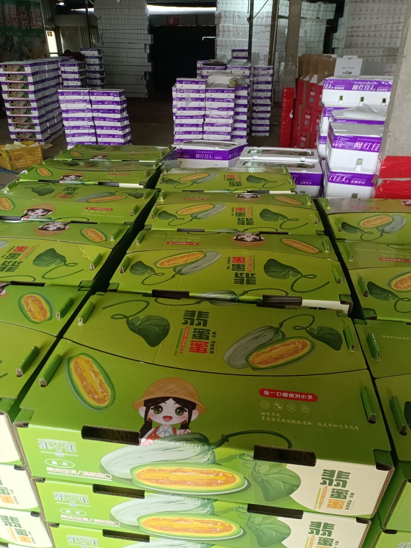 绿美人甜瓜天美519密园十八甜瓜产地量大口感好糖度高