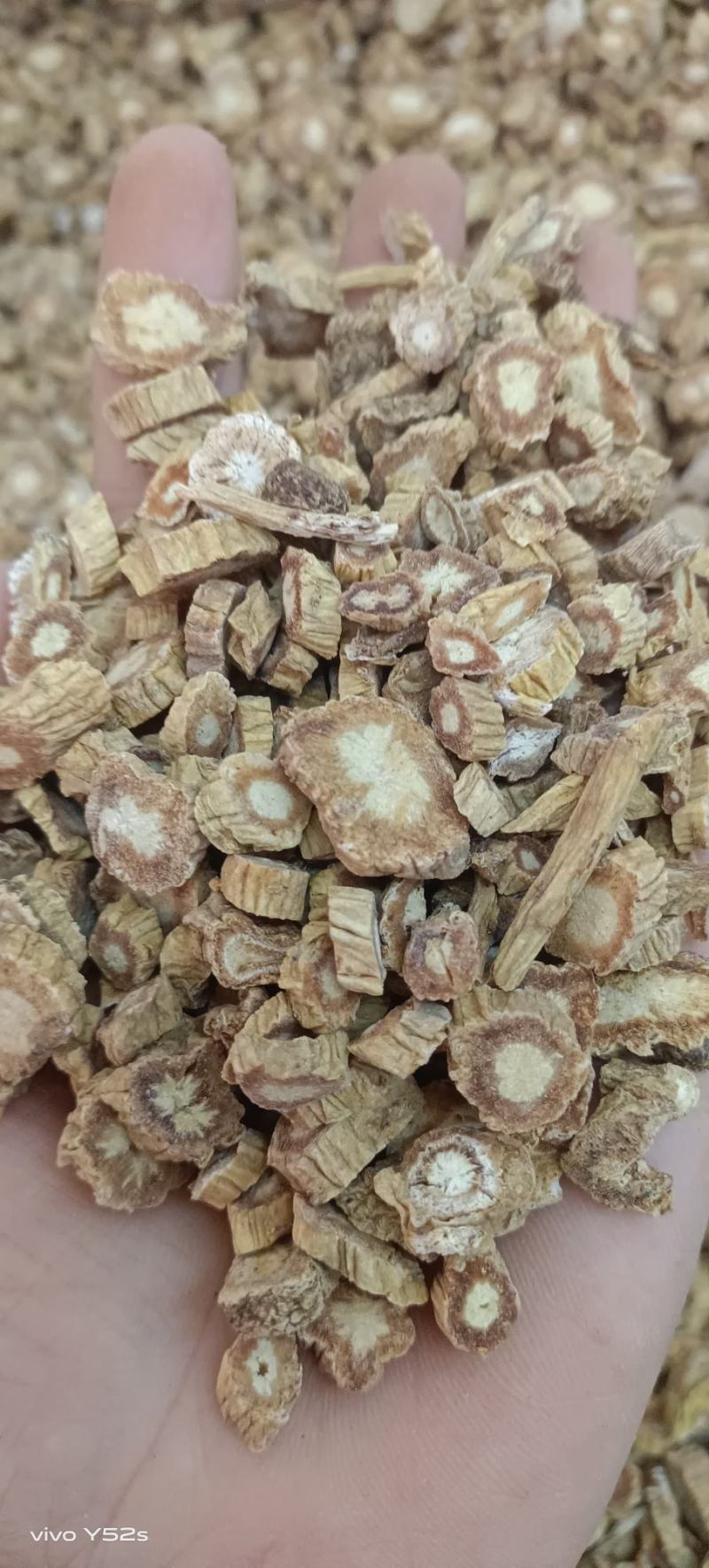 防风各种中药材名贵药材，冷背药材，实体加平台一站式服务
