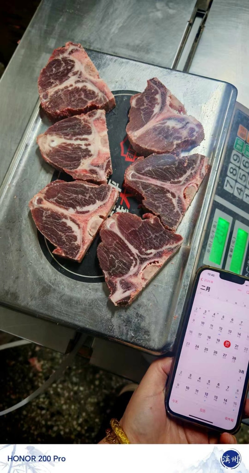国产T骨小牛排，烤肉自助火锅**，占肉比高