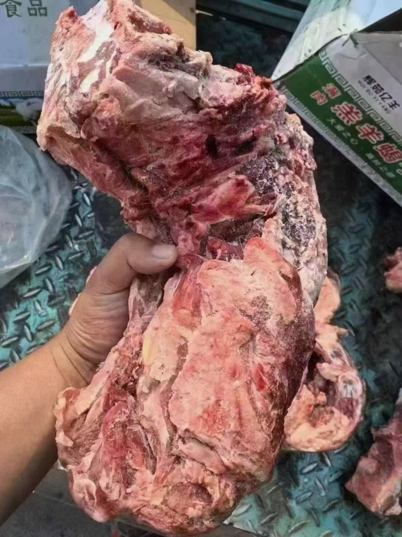 满肉羊蝎子，不剃肉羊蝎子，适合餐饮饭店，全国冷链物流发货