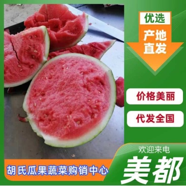 【热卖推荐】美都麒麟大棚西瓜河南产地直发品质好全国发货电