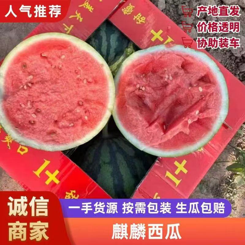 【优选】河南夏邑麒麟西瓜美都西瓜产地大量供应市场批发电商