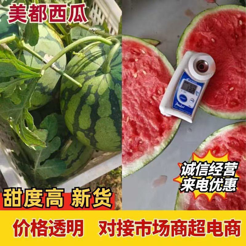 【无籽麒麟】美都大棚西瓜河南产地直发品质好全国发货可视频