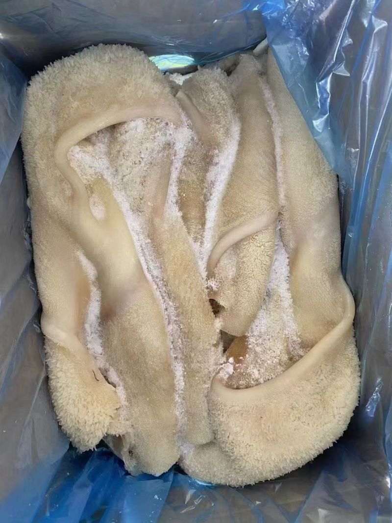 清真原味牛肚适合炒菜肚丝汤凉拌一手货源支持样品