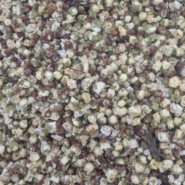 白梅花各类中药材花茶类药材实体加平台一站式服务质量有保证