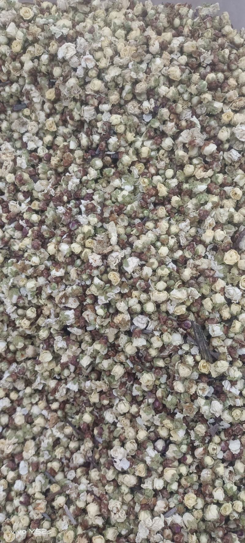 白梅花各类中药材花茶类药材实体加平台一站式服务质量有保证
