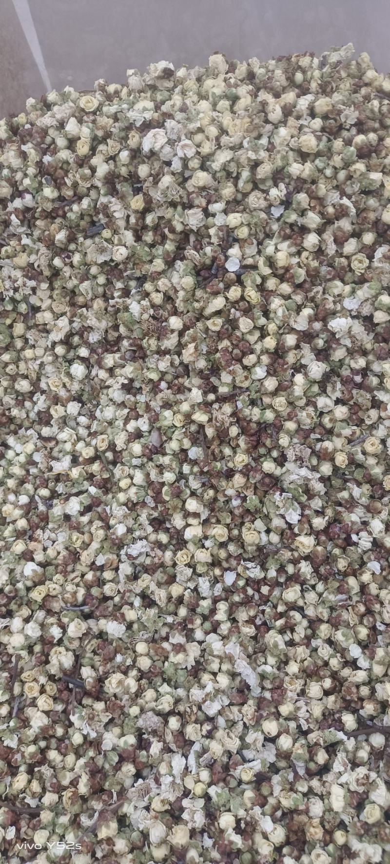 白梅花各类中药材花茶类药材实体加平台一站式服务质量有保证