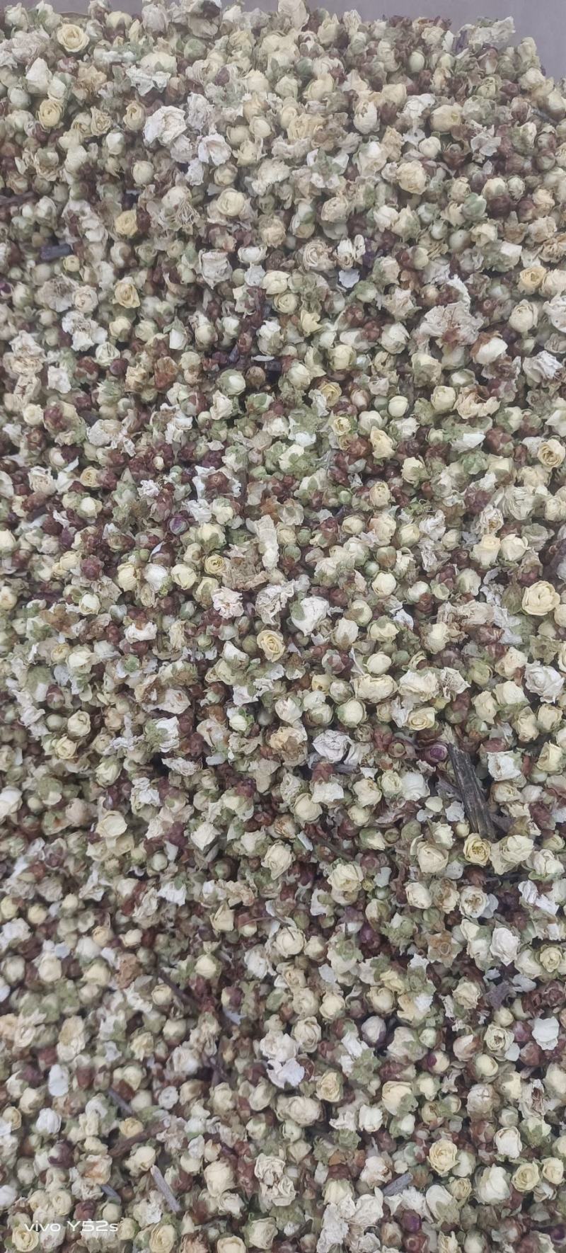 白梅花各类中药材花茶类药材实体加平台一站式服务质量有保证