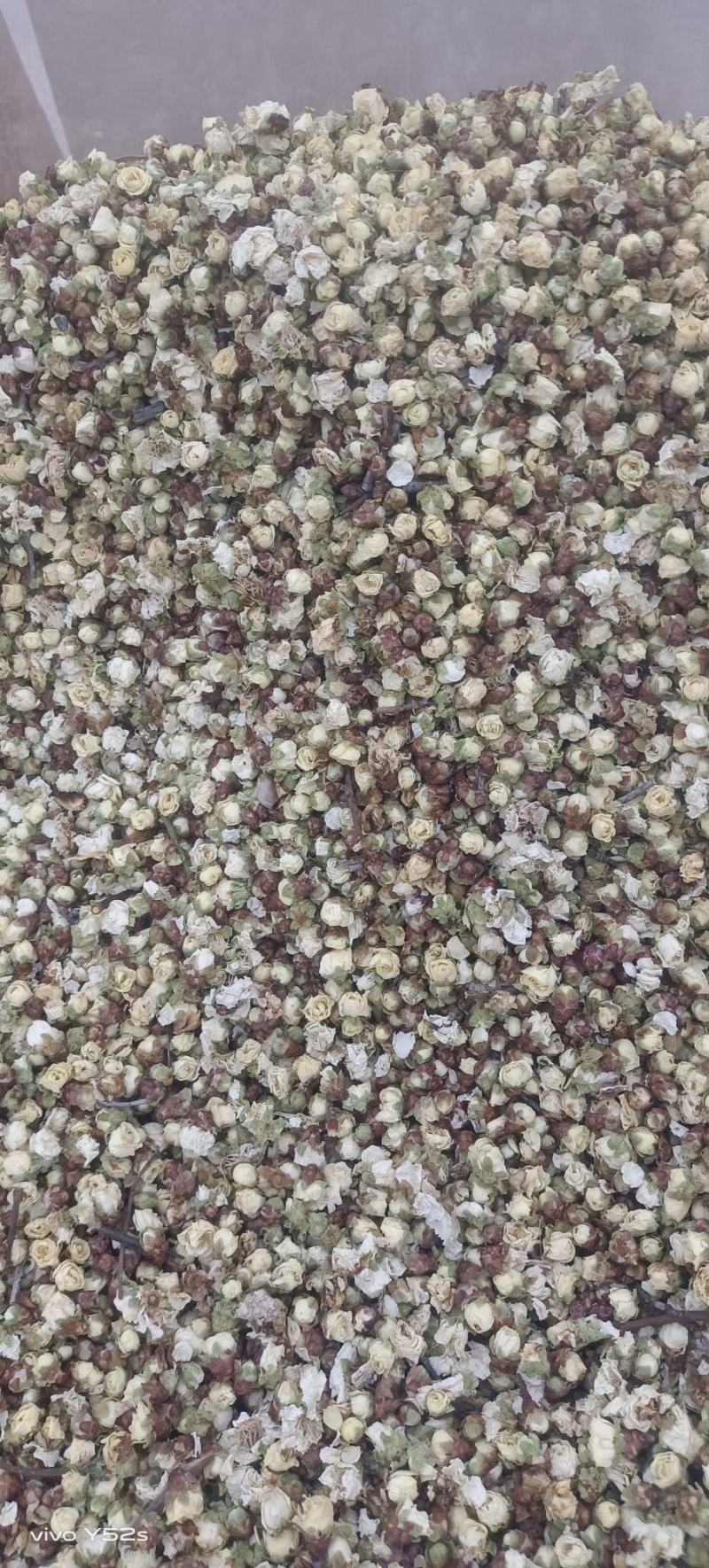 白梅花各类中药材花茶类药材实体加平台一站式服务质量有保证