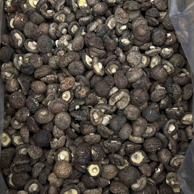 黑面香菇各种规格全国发货